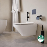 مرحاض معلق ديورافيت ديوراستايل ريمليس 2542490075 ابيض بالسيديلي ذاتي الغلق والشطاف الداخلي ومجموعة التثبيت